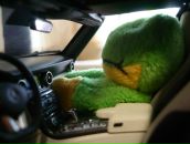 Фотография Мельникова Константина