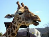 Богдан Герасімов фотография #18 (источник - https://vk.com/id18508630)