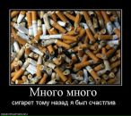 Фотография Коха Кирилла