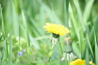 Андрюха Кіптель фотография #16 (источник - https://vk.com/id3545054)