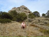 Андрій Клебан фотография #30 (источник - https://vk.com/id8874620)