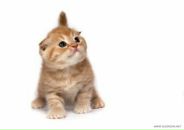 Фотография Снеговской Наташи