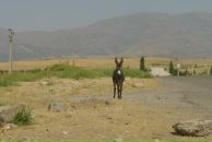 Фотография Татур Виктории