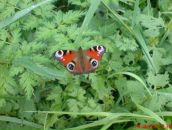 Фотография Колесниковой Марины