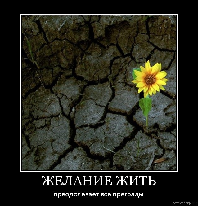 Angel Hranitel фотография #41