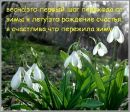 Іван Сергеєв фотография #6 (источник - https://vk.com/id158768333)