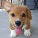 Соломія Мельник фотография #2 (источник - https://vk.com/id165616831)