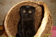 Фотография Мухиной Любови