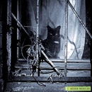 Dex†er Morgan фотография #3 (источник - https://vk.com/id68776099)