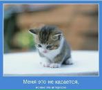 Сергій Подик фотография #29 (источник - https://vk.com/id42450240)