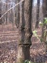 Ігор Харковенко фотография #11 (источник - https://vk.com/id39638303)