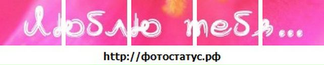 Віка Стецько фотография #12 (источник - https://vk.com/id47442820)