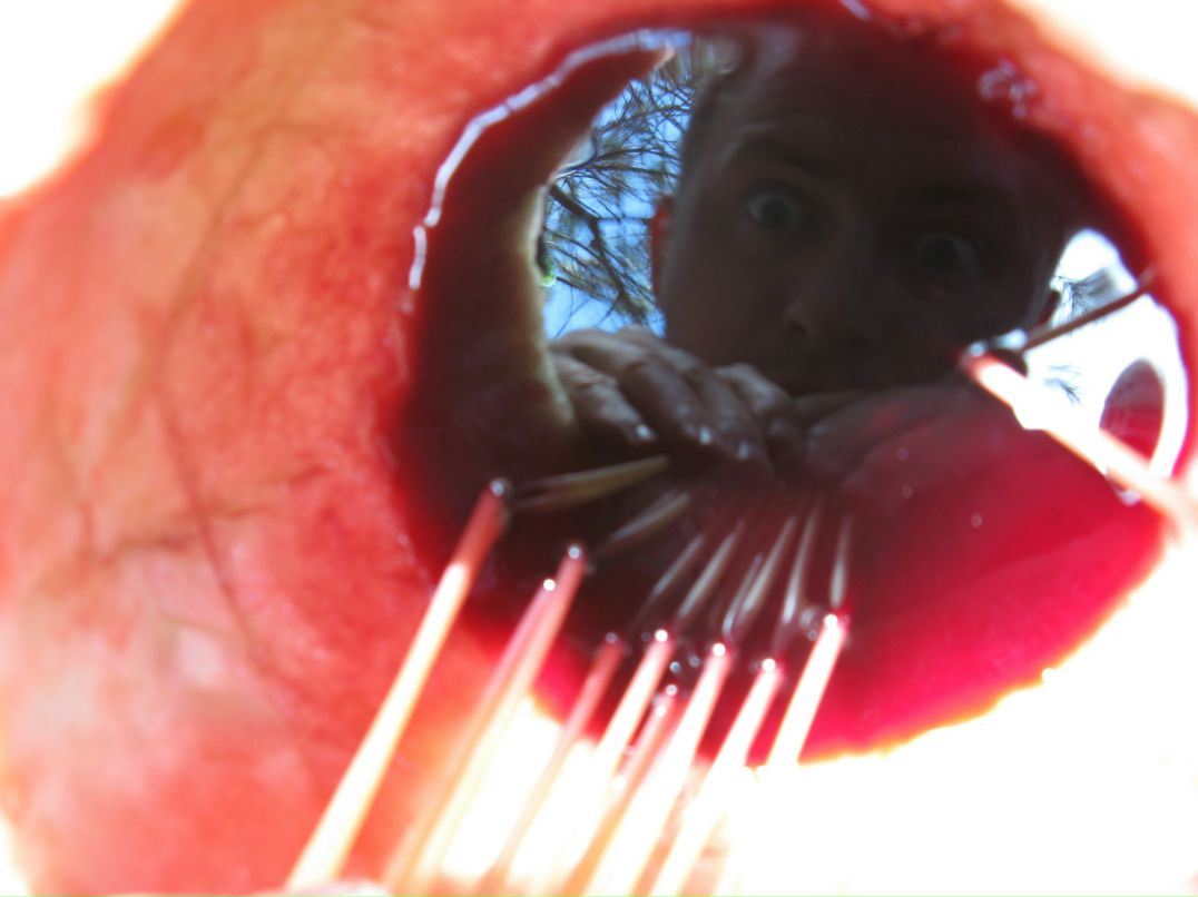 Cucumber Jam фотография #31