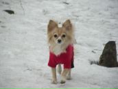 Фотография Кущий Натальи