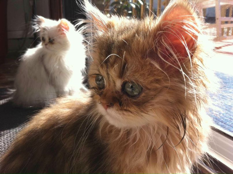 Eric Conde фото №35