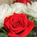 Таня Семенів фотография #48 (источник - https://vk.com/id145236792)