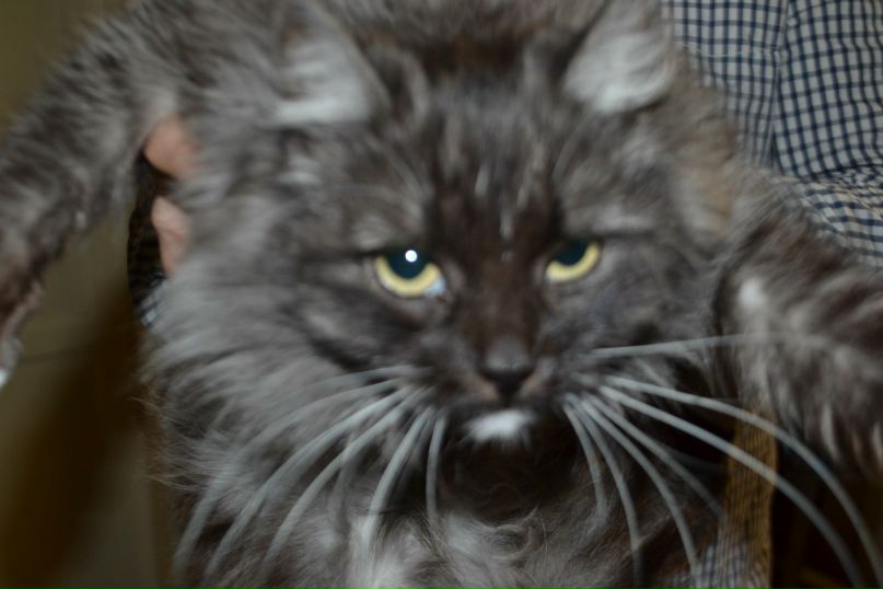 Сергей Гусев фотография #26