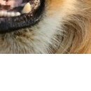 أنفسهم أحب фотография #2 (источник - https://vk.com/id145913596)