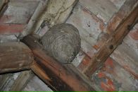 Артур Дікун фотография #29 (источник - https://vk.com/id12253404)