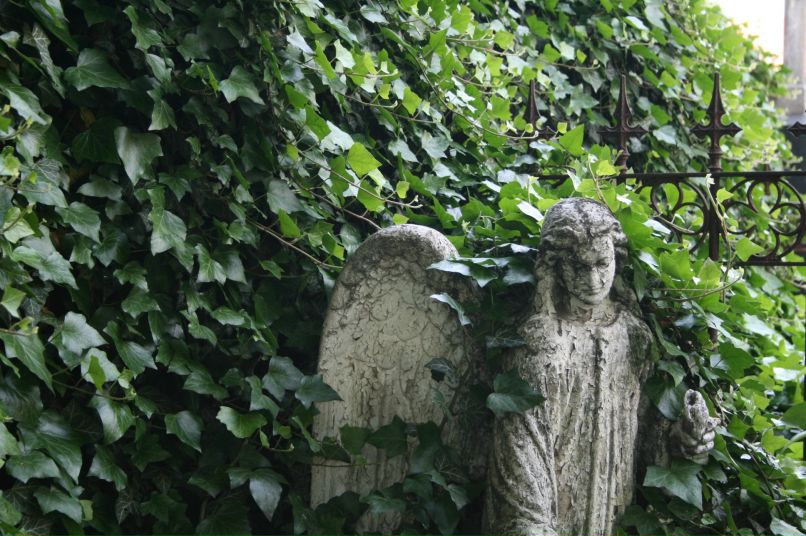 Алла Маркова фотография #37