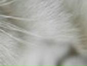 Марія Штонь фотография #45 (источник - https://vk.com/id72296255)