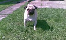 Юрій Кіт фотография #31 (источник - https://vk.com/id14768698)