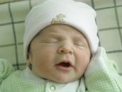 Фотография Харлапенкова-Гедимина Алексея