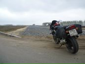 Фотография Румянцева Макса