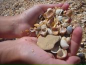 Фотография Подчерниной Ирины