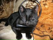 Фотография Кузнецовой Ларисы