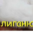 Юля Цідило фотография #21 (источник - https://vk.com/id135788843)