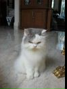 Ismail-Bilge Güven фотография #7 (источник - https://vk.com/id137295684)