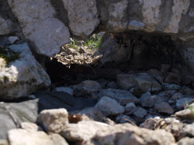 Сергей Гуревич фотография #31