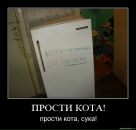 Фотография Троицкого Никиты