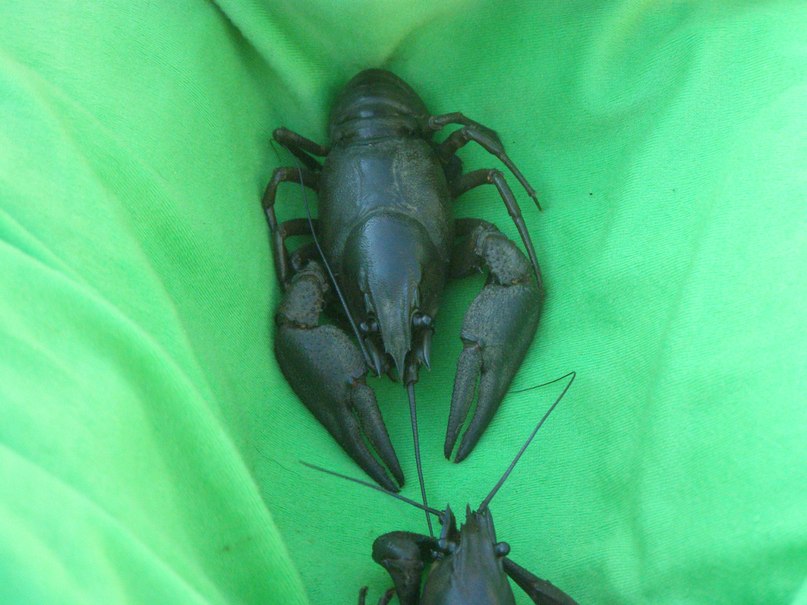 Михаил Симоненков фотография #40