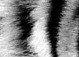 Юра Калічун фотография #5 (источник - https://vk.com/id98955125)
