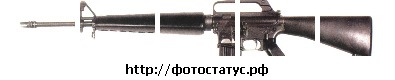 №6, Nazar Kyravsky №6, Nazar Kyravsky