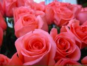 Віталік Сидоренко фотография #30 (источник - https://vk.com/id96005438)