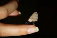 Фотография Загревской Евгении