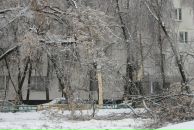 Вова+таня ツツツ фотография #50 (источник - https://vk.com/id83197705)