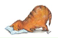 Фотография Сорвачевой Кати