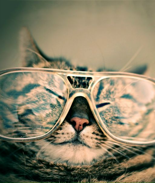 Игорь Близниченко фото №3