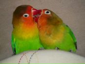 Фотография Богдановой Аллы