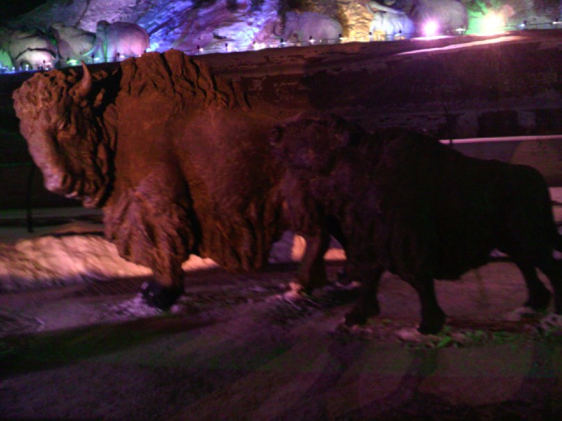 Юра Башков фотография #38