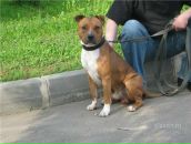 Андрей Іванчо фотография #3 (источник - https://vk.com/id67632446)