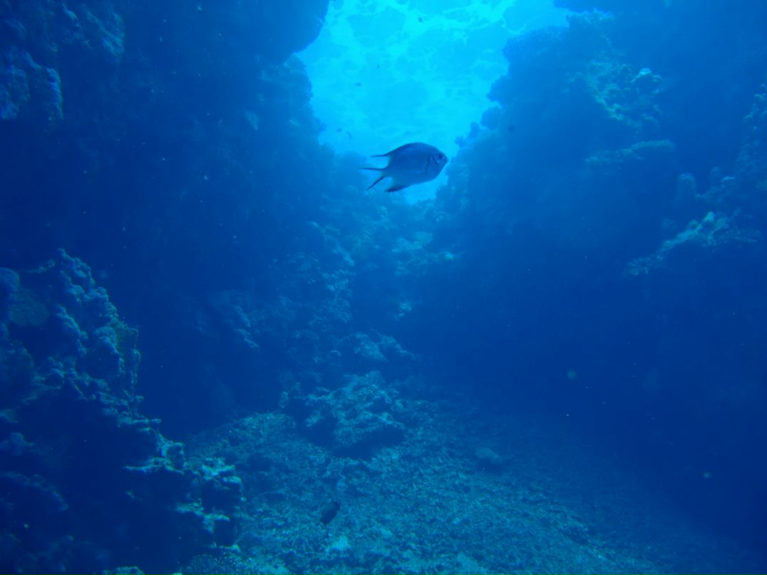 Vit Mi фотография #34