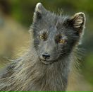 Фотография Кивенко Катерина