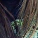 Валентина Ілащук фотография #26 (источник - https://vk.com/id62162814)