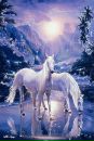 Софія Коржик фотография #31 (источник - https://vk.com/id176915360)