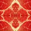 Фотография Горбачёвой Светланы